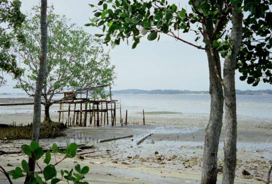 Fishing hut at Pasir Ris Park beach